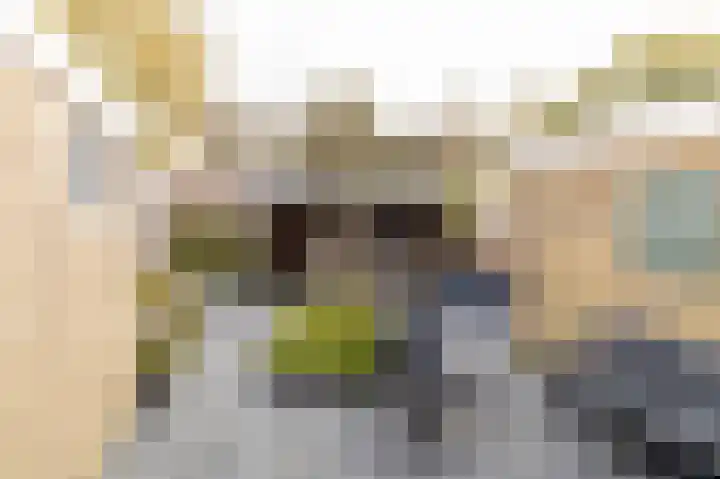 Hielkemastrjitte 40 Balk thumbnail 35