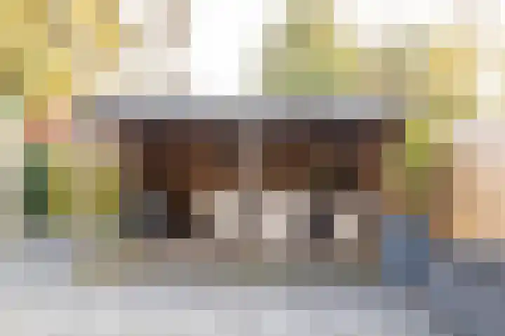 Hielkemastrjitte 40 Balk thumbnail 36