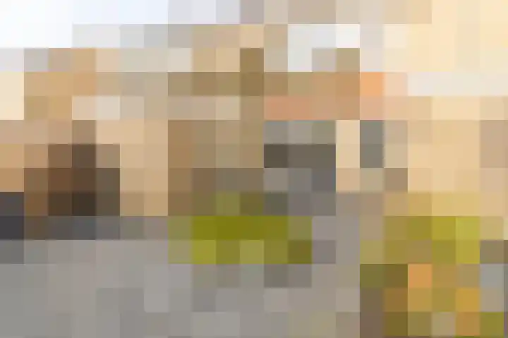Hielkemastrjitte 40 Balk thumbnail 38