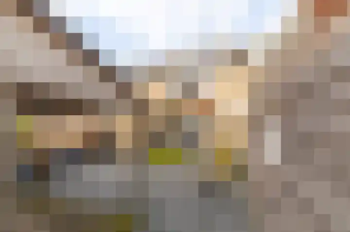 Hielkemastrjitte 40 Balk thumbnail 39