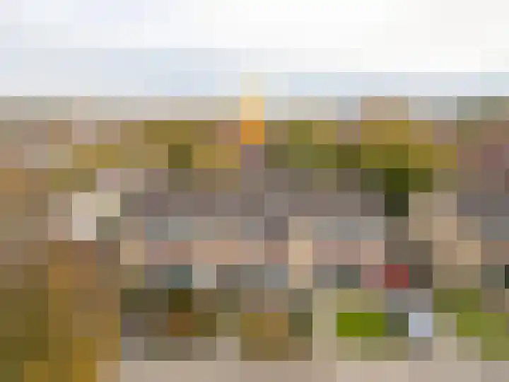 Hielkemastrjitte 40 Balk thumbnail 4