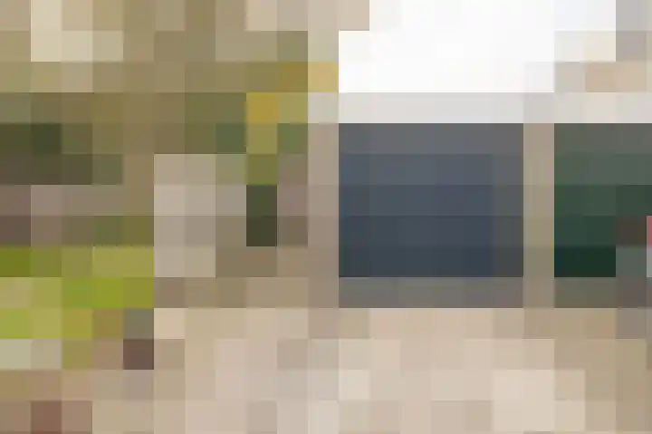 Hielkemastrjitte 40 Balk thumbnail 40