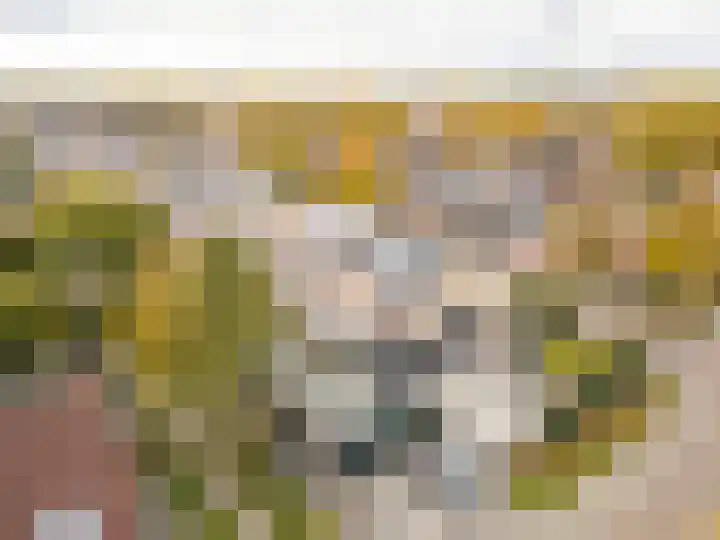 Hielkemastrjitte 40 Balk thumbnail 41