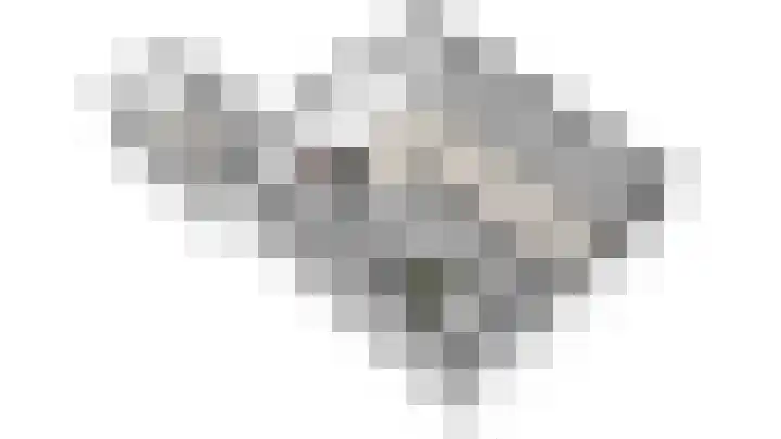 Hielkemastrjitte 40 Balk thumbnail 43
