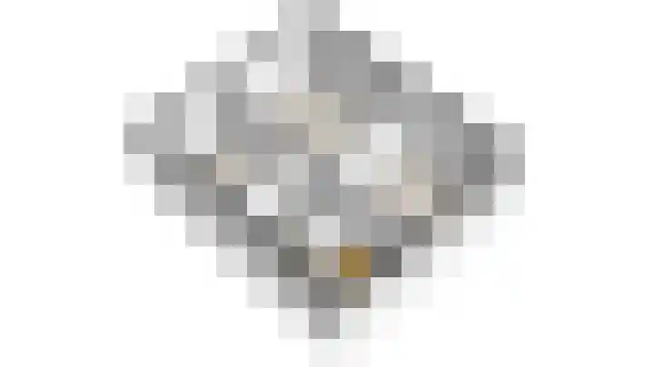 Hielkemastrjitte 40 Balk thumbnail 45