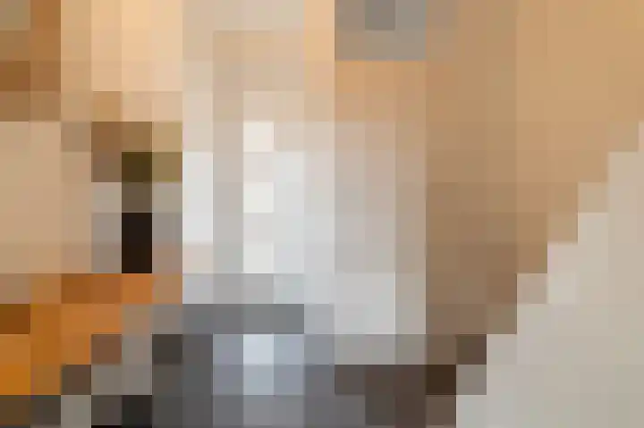 Hielkemastrjitte 40 Balk thumbnail 7