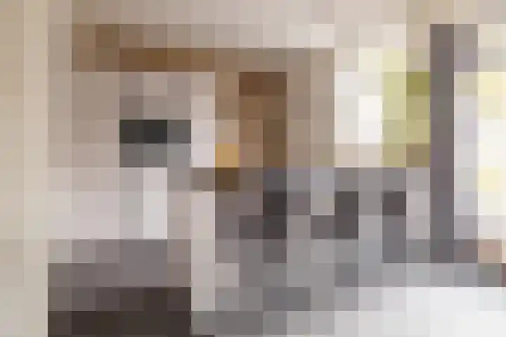 Hielkemastrjitte 40 Balk thumbnail 9