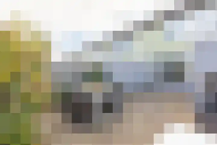 Hiemerwaard 130 Alkmaar thumbnail 39