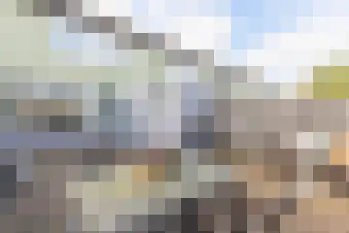 Hiemerwaard 130 Alkmaar thumbnail 40