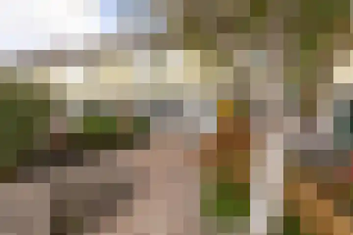 Hiemerwaard 130 Alkmaar thumbnail 47
