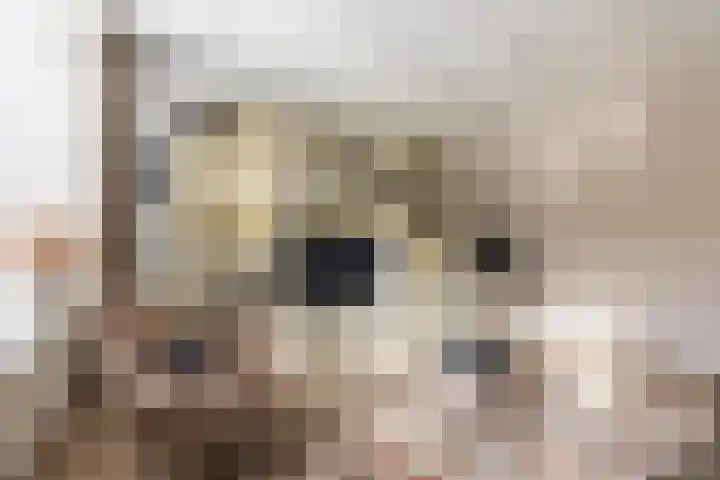 Hiemerwaard 130 Alkmaar thumbnail 5