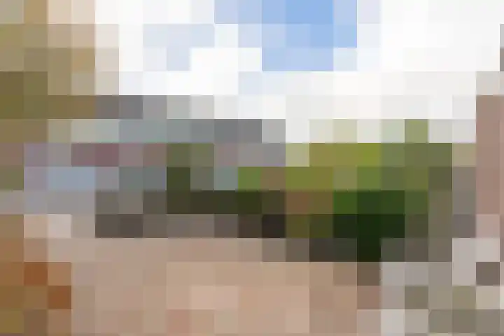 Hiemerwaard 130 Alkmaar thumbnail 50