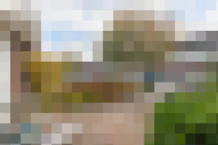 Hiemerwaard 130 Alkmaar thumbnail 51