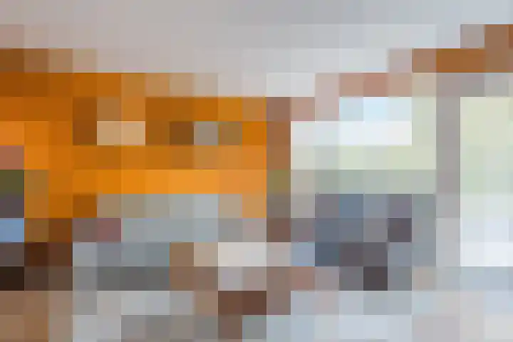 Hiemerwaard 154 Alkmaar thumbnail 18
