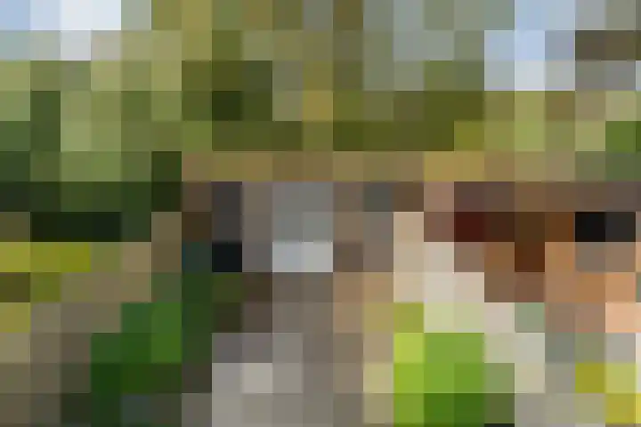 Hiemerwaard 154 Alkmaar thumbnail 39