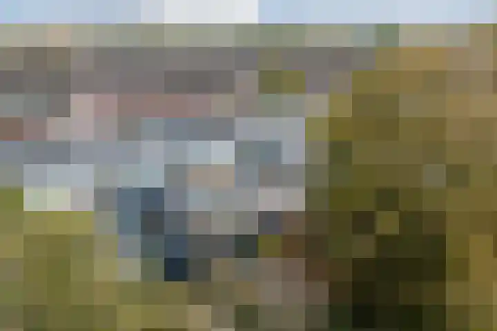 Hiemerwaard 154 Alkmaar thumbnail 48