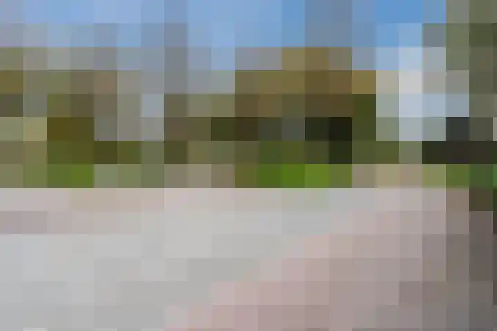 Hiemerwaard 154 Alkmaar thumbnail 51