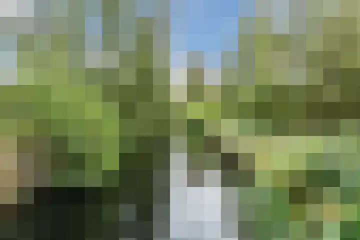 Hiemerwaard 154 Alkmaar thumbnail 52