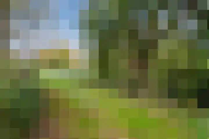 Hiemerwaard 154 Alkmaar thumbnail 53