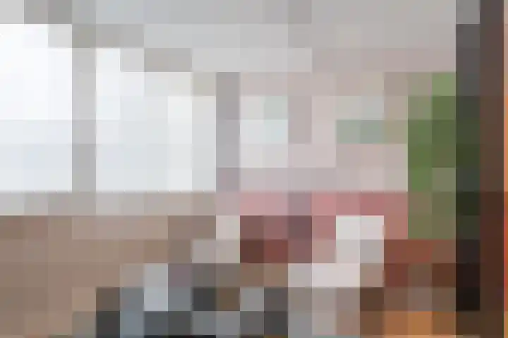 Hiemerwaard 154 Alkmaar thumbnail 8