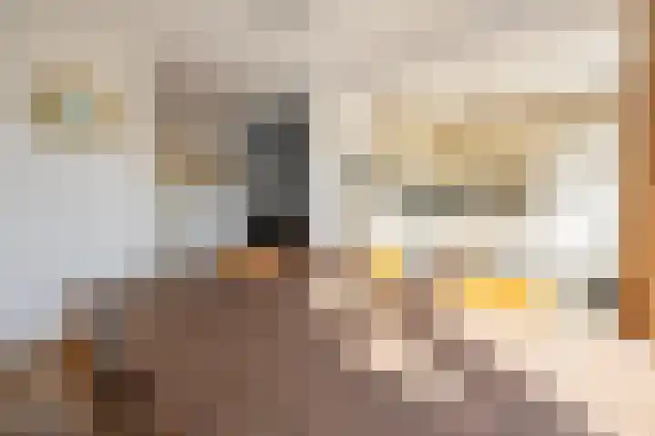 Hienkershoff 21 Dreumel thumbnail 10