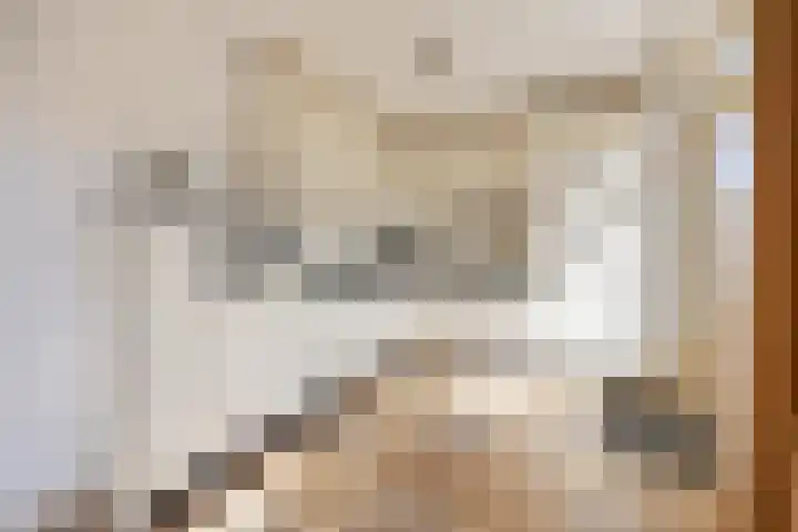 Hienkershoff 21 Dreumel thumbnail 11