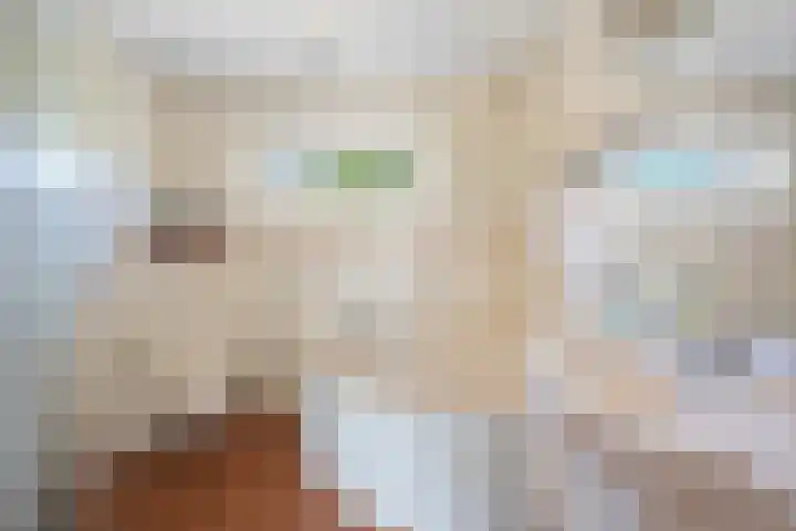 Hienkershoff 21 Dreumel thumbnail 23