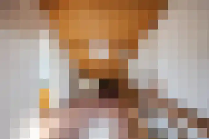 Hienkershoff 21 Dreumel thumbnail 26