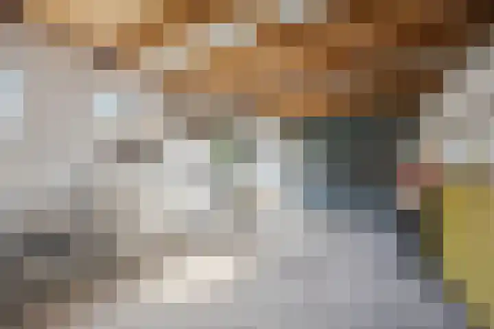 Hienkershoff 21 Dreumel thumbnail 33