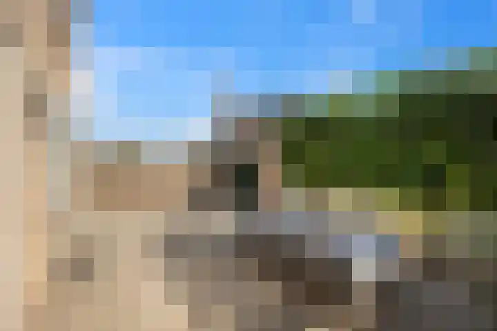 Hienkershoff 21 Dreumel thumbnail 36