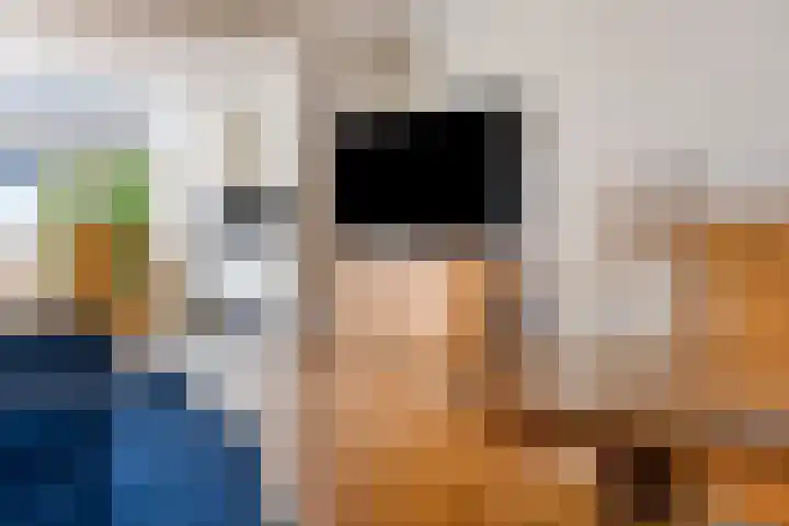 Hienkershoff 5 Dreumel thumbnail 11