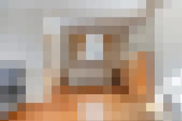 Hienkershoff 5 Dreumel thumbnail 12