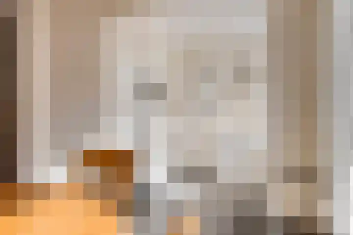 Hienkershoff 5 Dreumel thumbnail 15