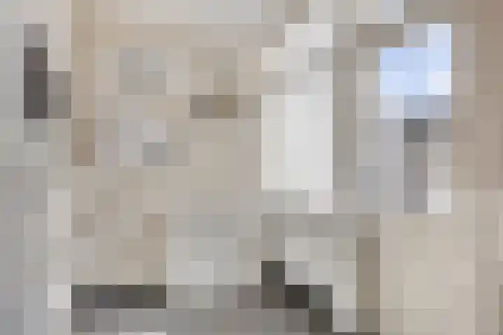 Hienkershoff 5 Dreumel thumbnail 16