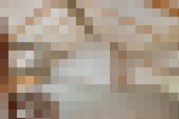 Hienkershoff 5 Dreumel thumbnail 25
