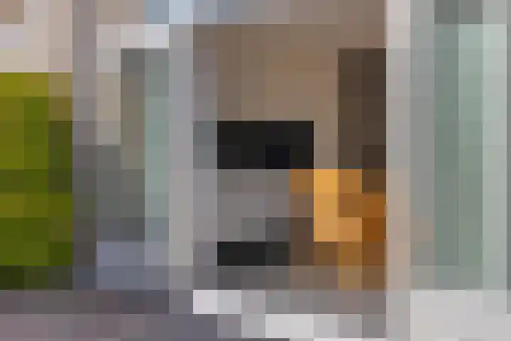 Hienkershoff 5 Dreumel thumbnail 26