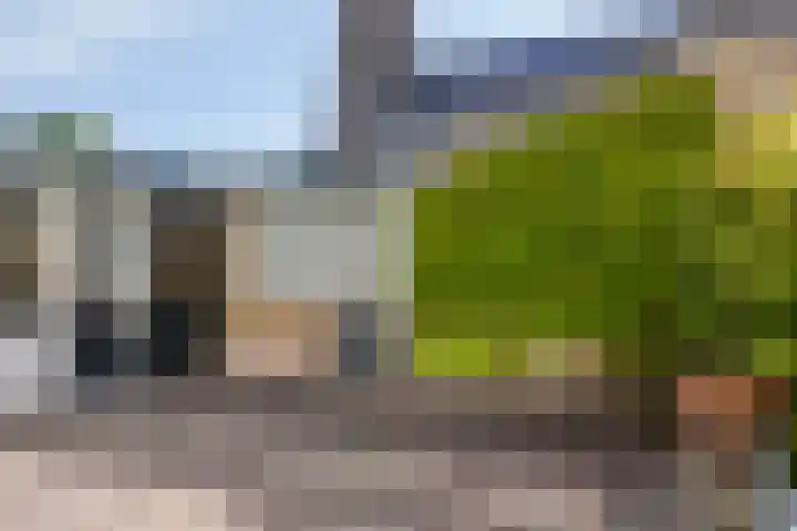Hienkershoff 5 Dreumel thumbnail 27
