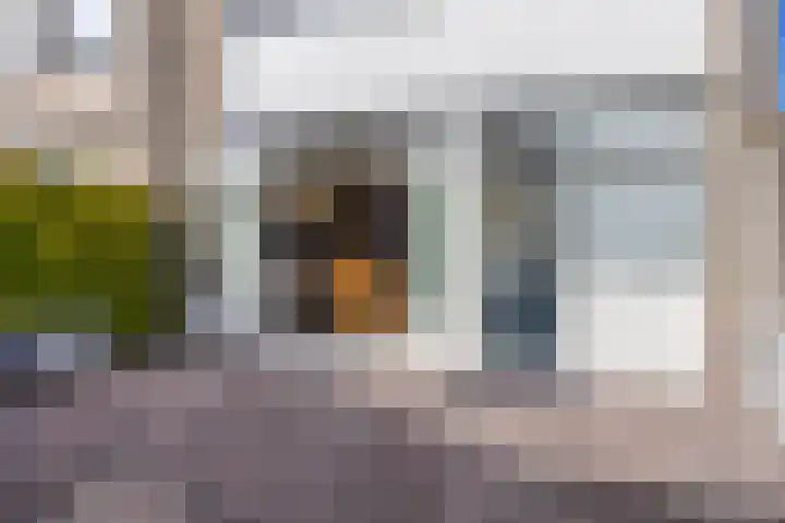 Hienkershoff 5 Dreumel thumbnail 30