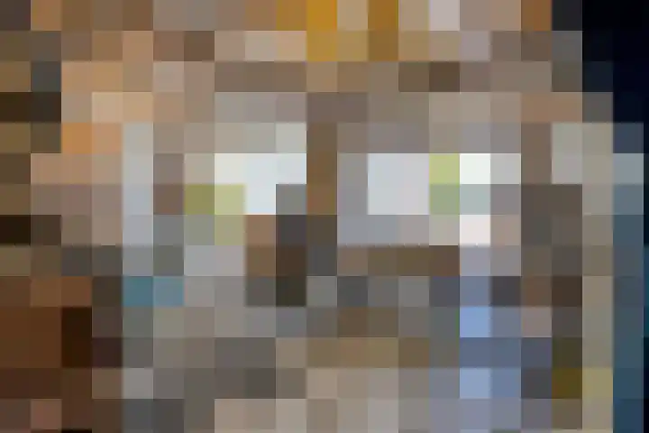 Hienkershoff 5 Dreumel thumbnail 32