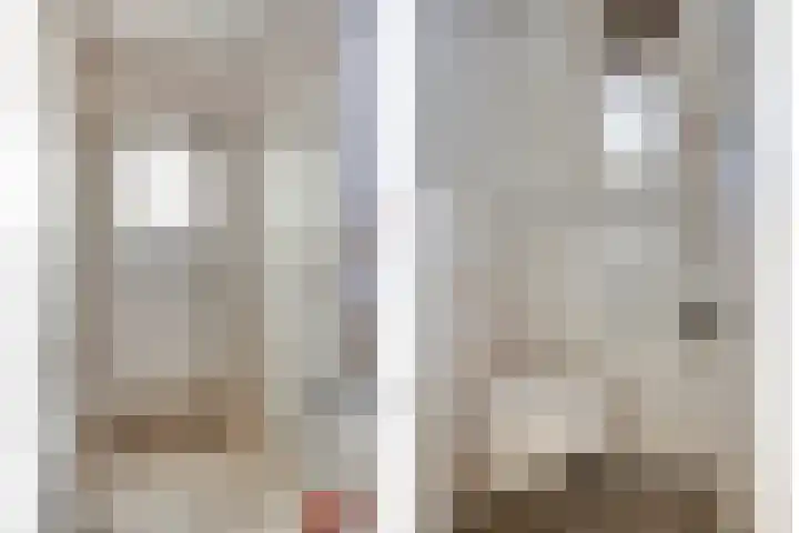 Hienkershoff 5 Dreumel thumbnail 9