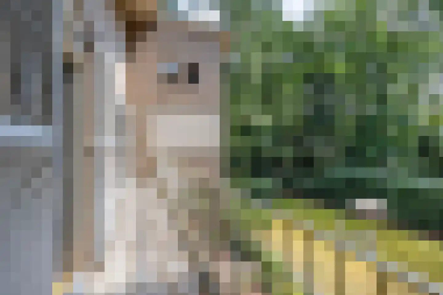 Hiept 1 A Venray thumbnail 53