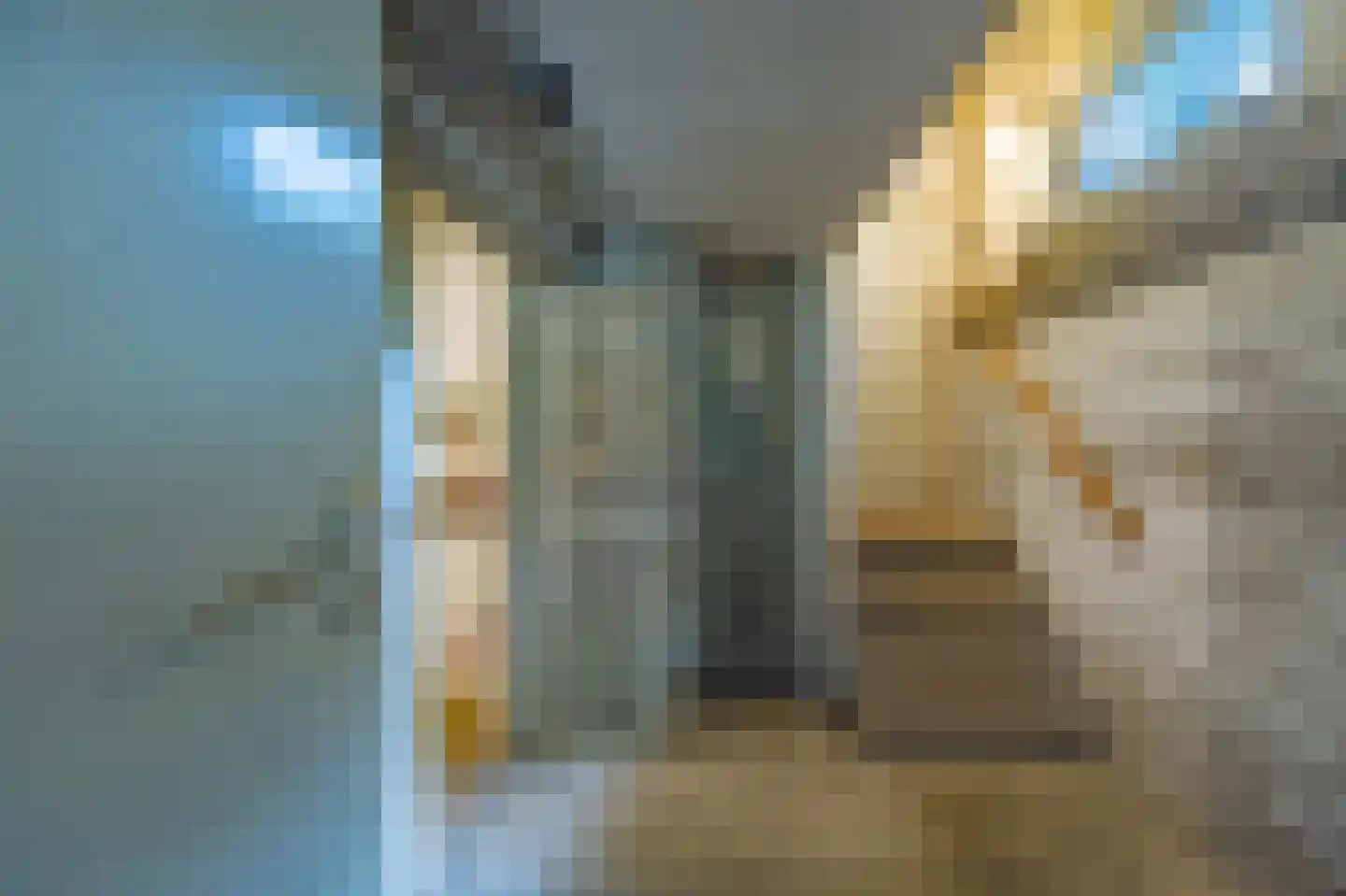 Hiept 1 A Venray thumbnail 62