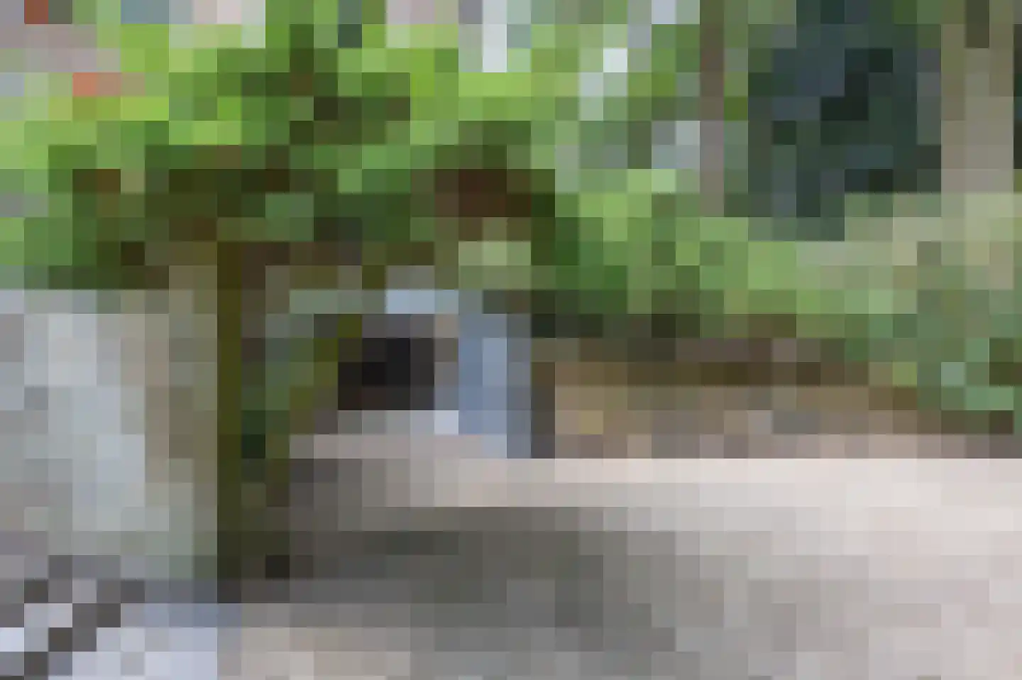 Hiept 1 A Venray thumbnail 67