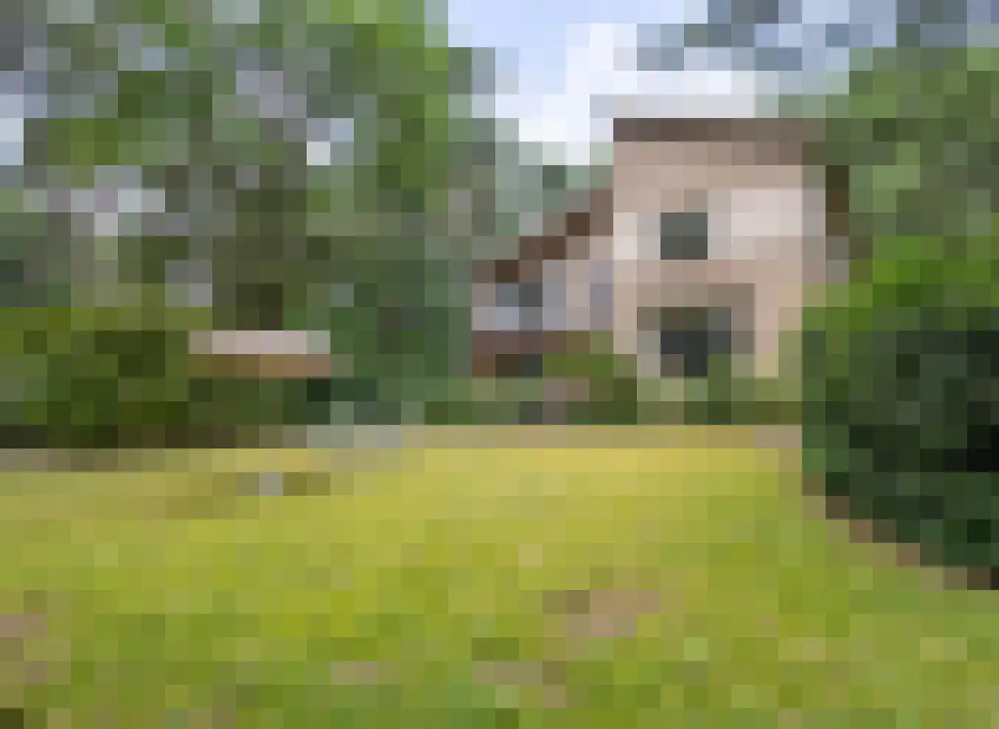 Hiept 1 A Venray thumbnail 69