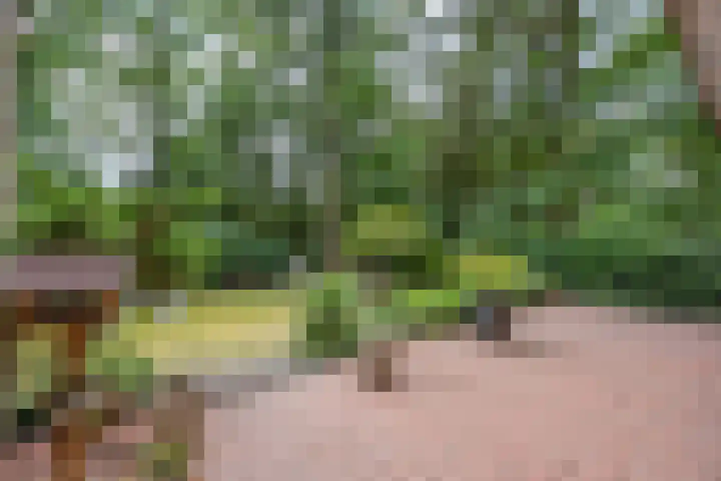 Hiept 1 A Venray thumbnail 73