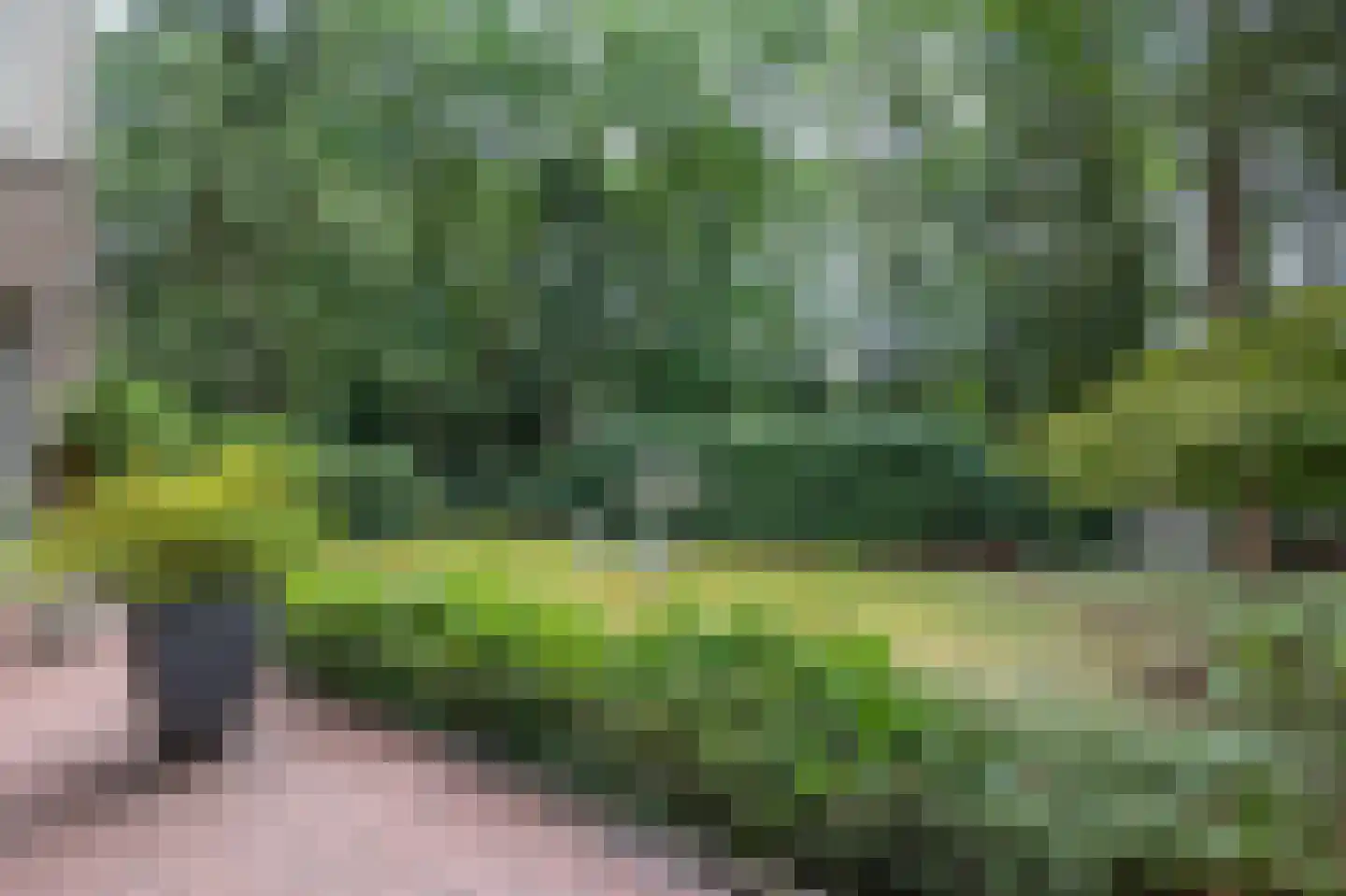 Hiept 1 A Venray thumbnail 74