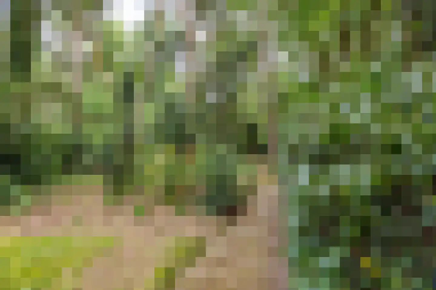 Hiept 1 A Venray thumbnail 77
