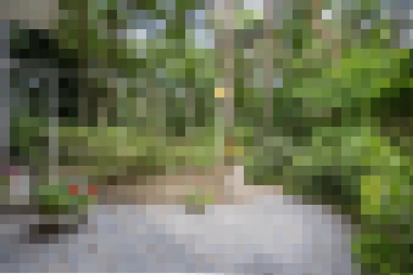 Hiept 1 A Venray thumbnail 8