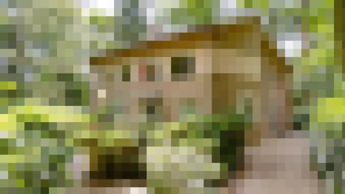 Hiept 1 A Venray thumbnail 80