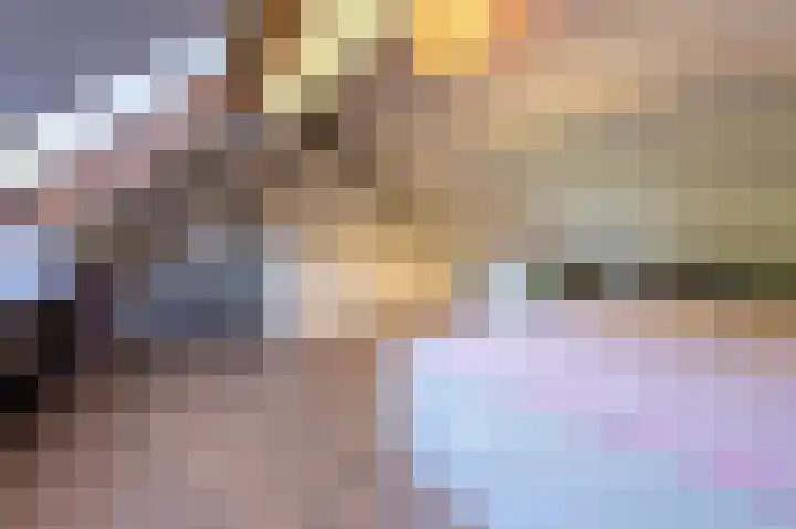 Hierdense beek 13 Tilburg thumbnail 22